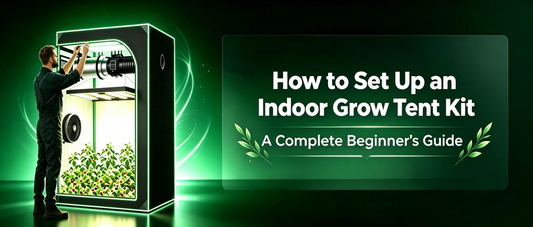 How to Set Up an Indoor Grow Tent Kit: A Complete Beginner's Guide