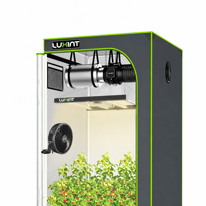 LUXINT 3x3 Starter Grow Tent Kit – 240W LED, 4" Inline Fan & Carbon Filter for Beginners