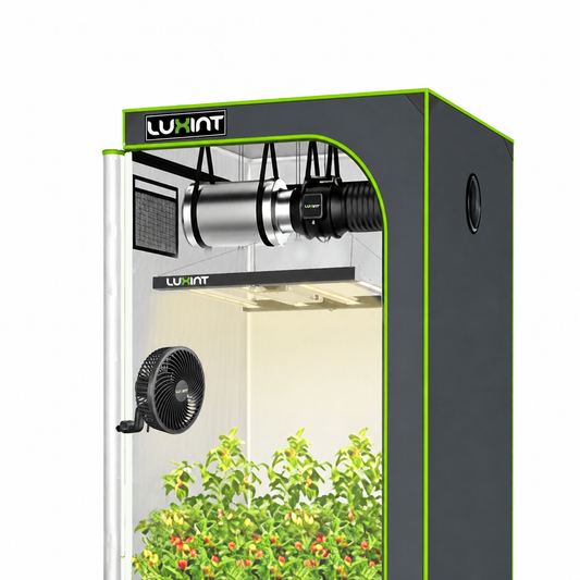 LUXINT 2.7x2.7 Starter Grow Tent Kit – 240W LED, 4" Fan & Carbon Filter for Beginners