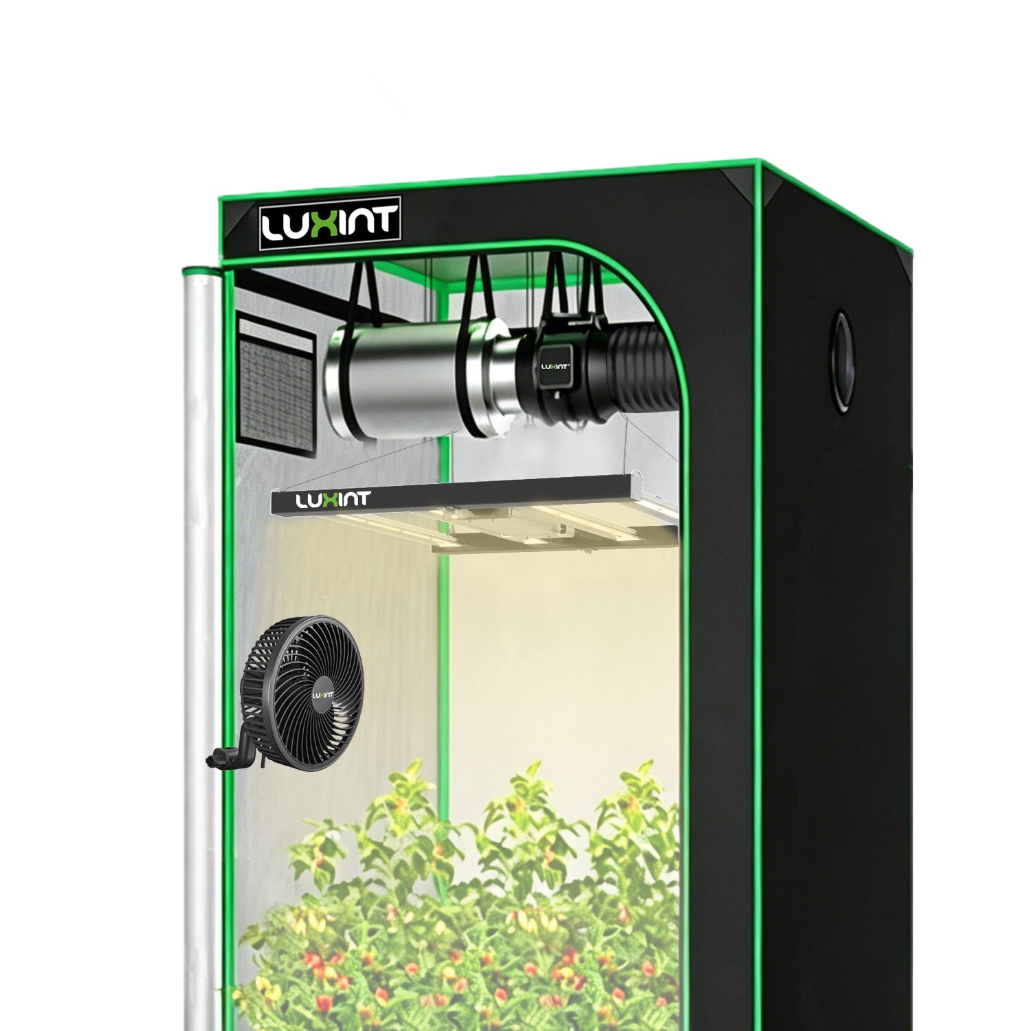 all in one grow tent kit  for beginners