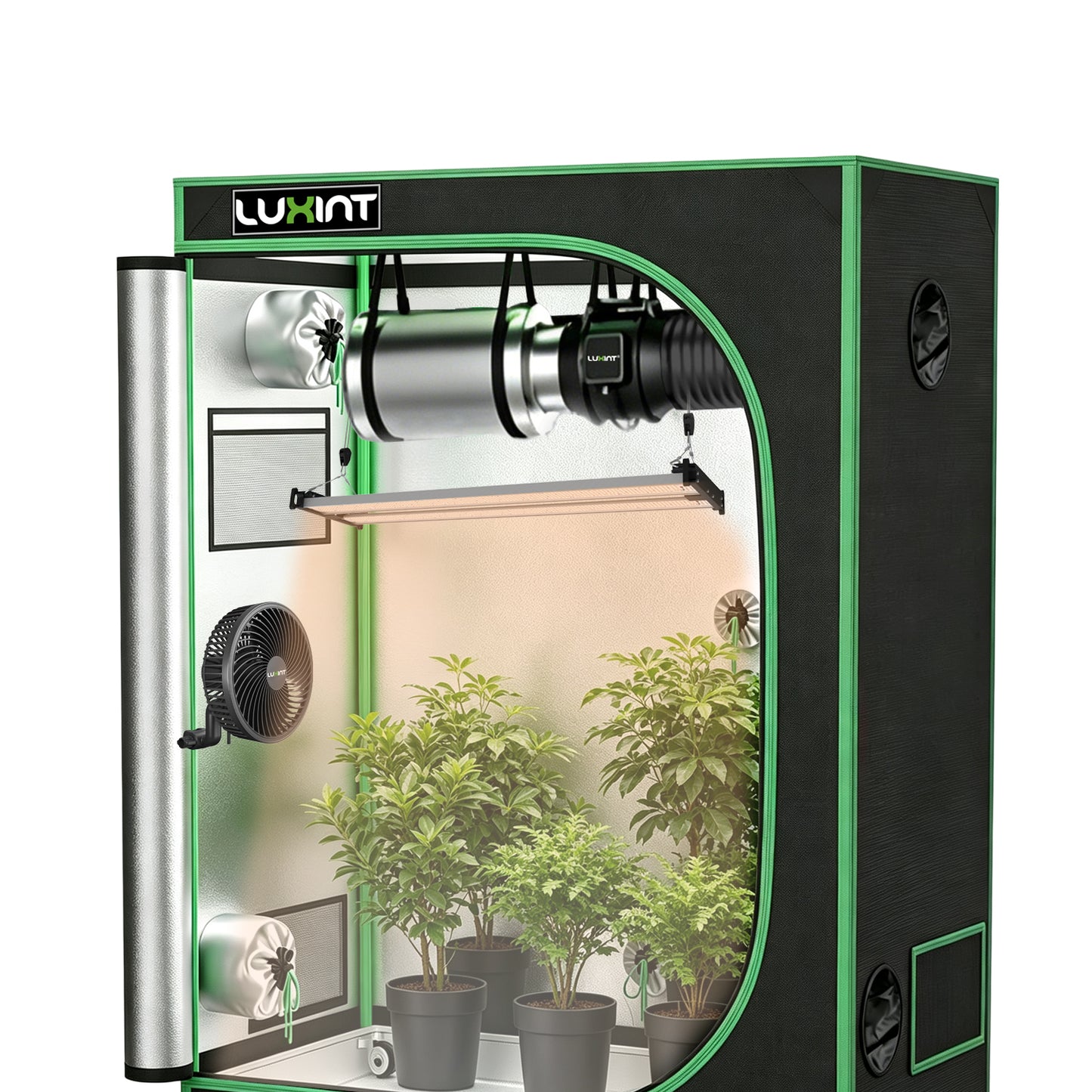 4x2ft Grow Tent Complete Kit – 240W Samsung LED Grow Light, 4" EC Fan & Carbon Filter, App-Compatible | LUXINT