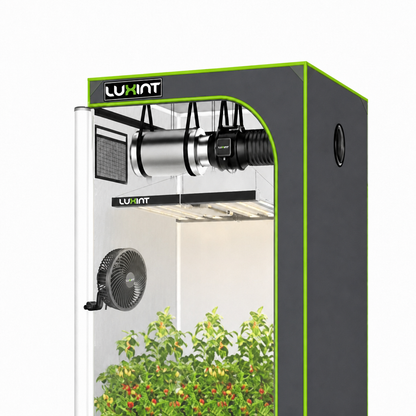 LUXINT 4x4 Starter Grow Tent Kit – 360W LED, 6" Inline Fan & Carbon Filter for Beginners