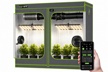 2026 LUXINT® 8’x 4′ Complete Grow Tent Kit丨2 x 480W Full Spectrum LED Grow Light丨8” Ventilation System | 6” Clip Fan x 2 | with Smart Controller