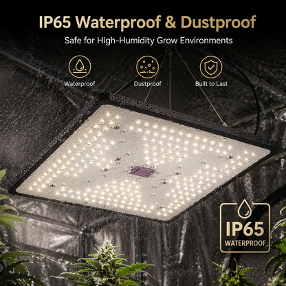 Full Spectrum Quantum Board LED Grow Light,100W Smart Dimmable & High PPFD for Indoor Plants Seedling Vegetables Bloom