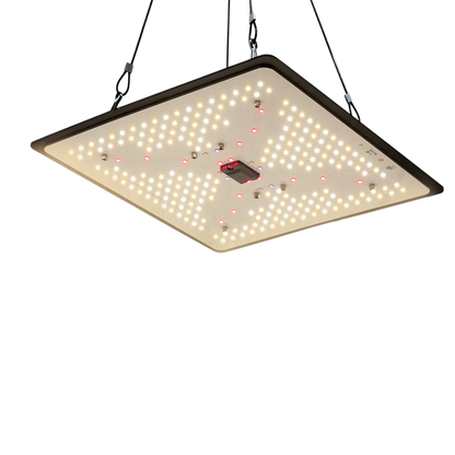 Full Spectrum Quantum Board LED Grow Light,100W Smart Dimmable & High PPFD for Indoor Plants Seedling Vegetables Bloom